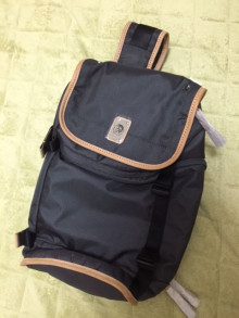 ディーゼルバック