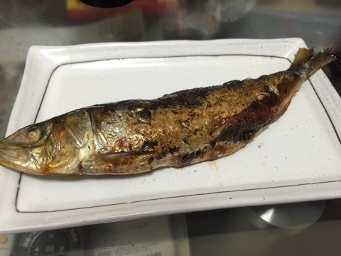 {9CF688AD-995D-4E43-9A4A-C01A7E56B525:01}