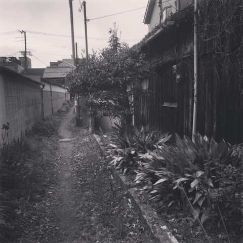 {D94F7DD8-9431-49D8-8C5B-815E705D09AA:01}