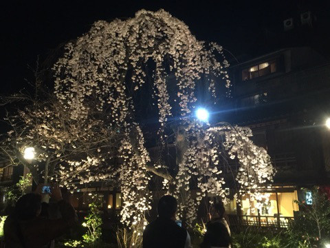 {89A1A660-E85C-4AB1-BC2A-403C59E4FDE4:01}