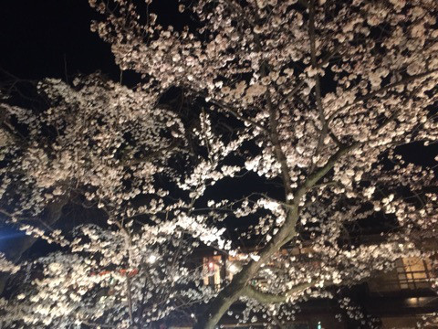 {E9B00B5C-A335-4C79-870A-B88FA06660FA:01}