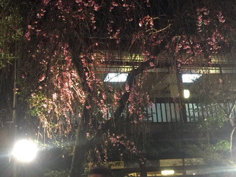 {4D524C7E-21E5-4BA2-8B9F-DC1B6E70BBB0:01}