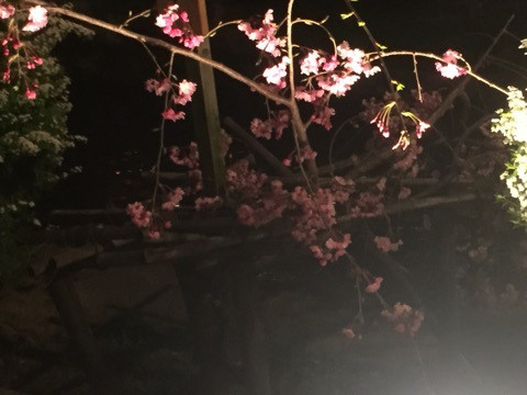 {4FF98D72-6C10-441E-B4BF-DF629E0E7518:01}