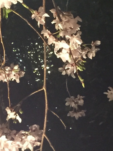 {129EC59C-8CF0-44E9-8F9F-44848A9C994B:01}